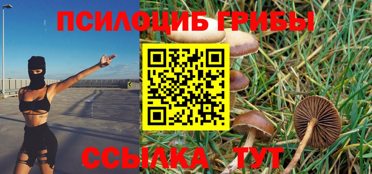 Псилоцибиновые грибы ЛСД Нальчик