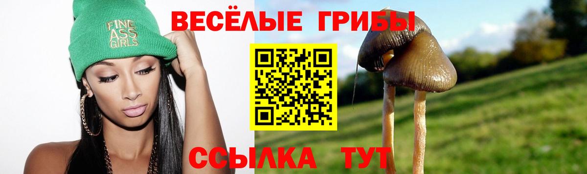 Псилоцибиновые грибы Psilocybe  Псилоцибиновые грибы Psilocybe  Нальчик  Вход с VPN 